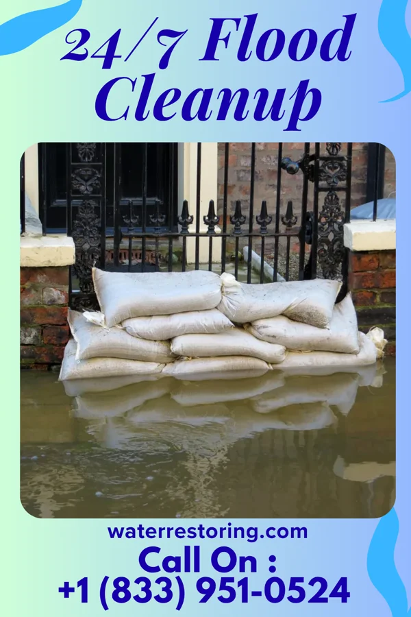 24/7 Flood Cleanup in Eagle Bend, MS